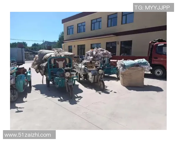 大米种植技术创新与可持续发展探索：从土壤管理到智能农业的全方位实践